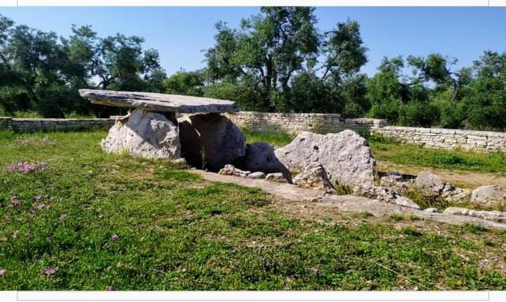 Amaste In Puglia Casa Vacanza Μπισέλιε Εξωτερικό φωτογραφία